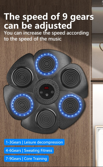 Smart Boxing Trainer Pro